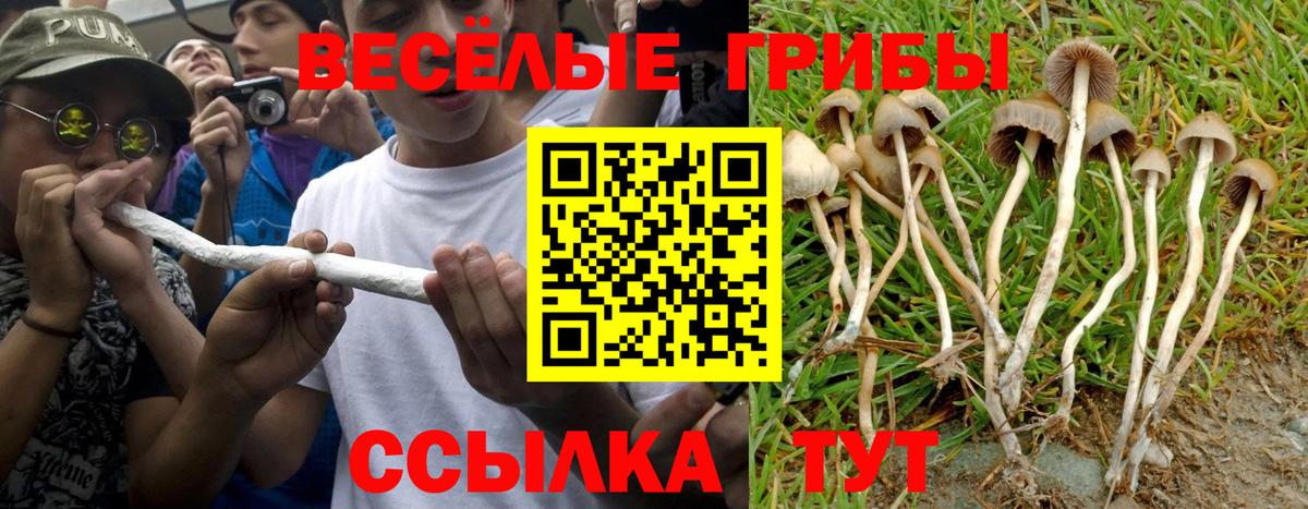 Касимов  Псилоцибиновые грибы мухоморы  Вход с VPN 
