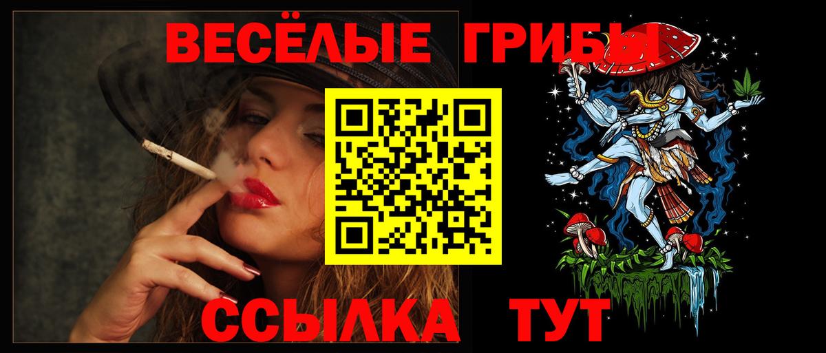 Галлюциногенные грибы прущие грибы Касимов